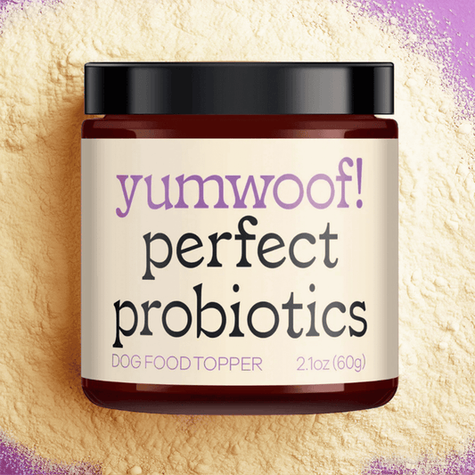 Perfect Probiotics-0